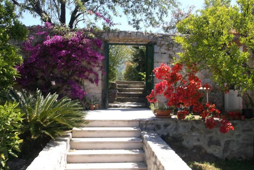 Charming Apartment For 3 Pax In Cavtat Exterior photo