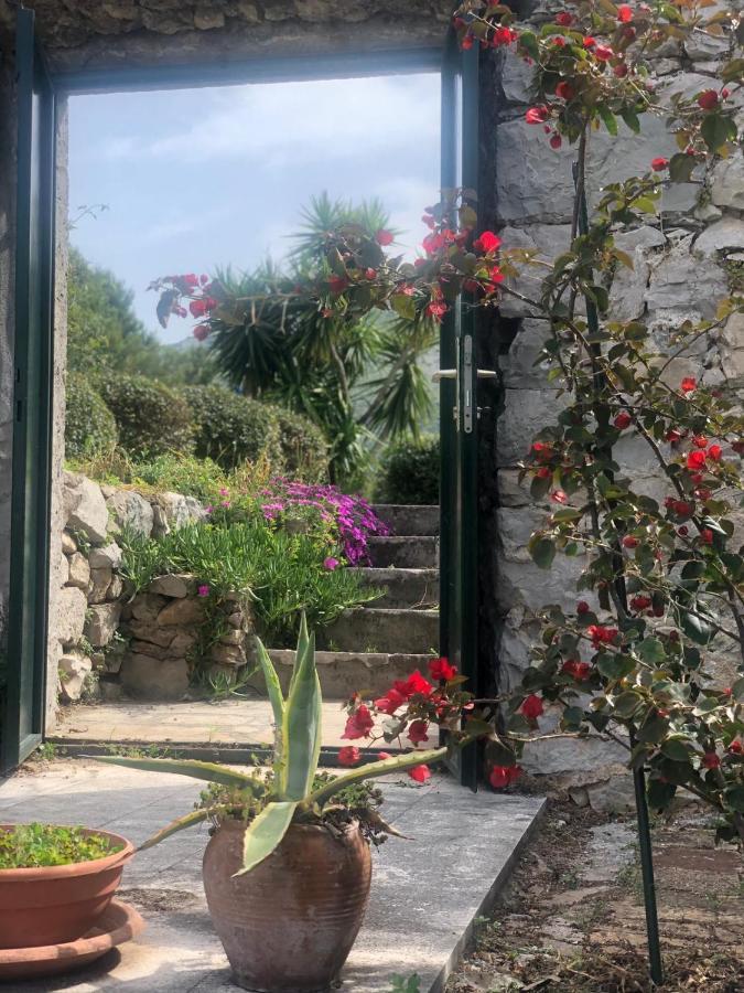 Charming Apartment For 3 Pax In Cavtat Exterior photo